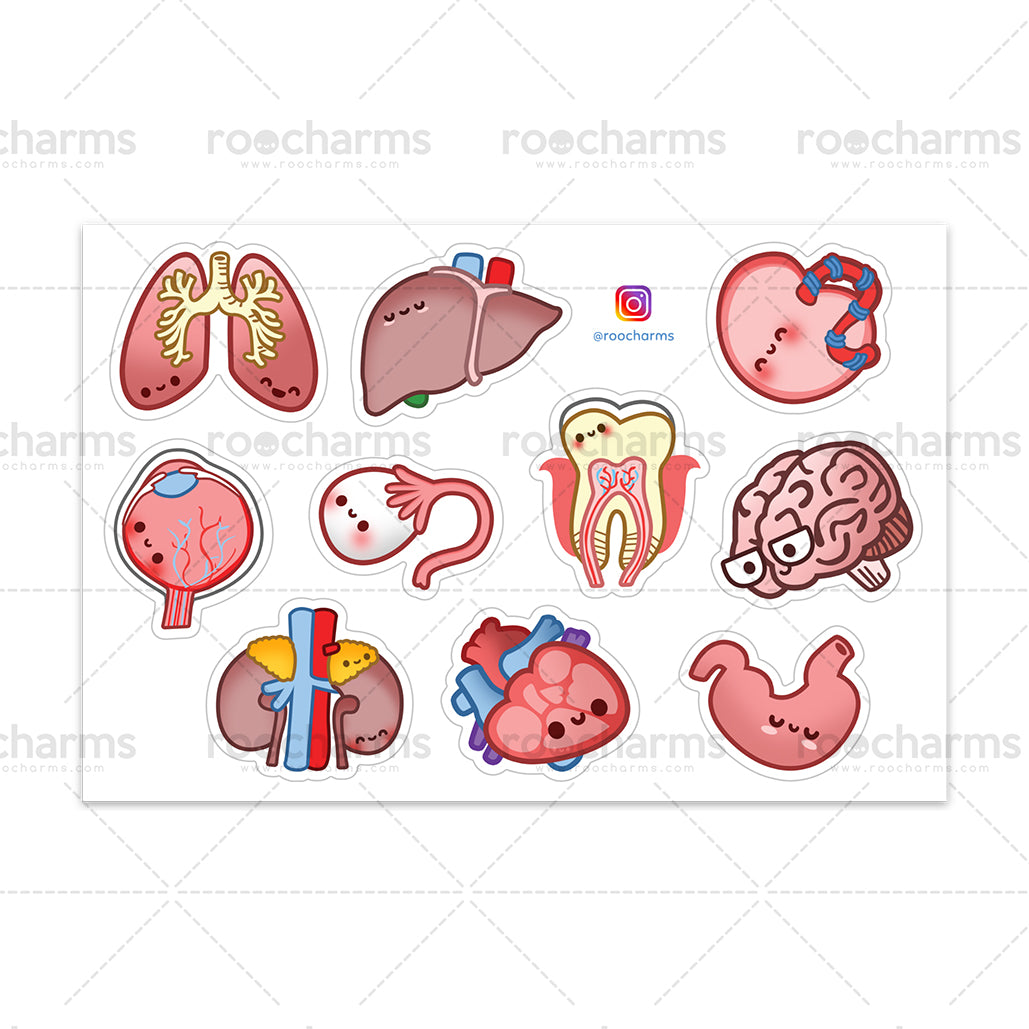 Anatomy Sticker Sheet