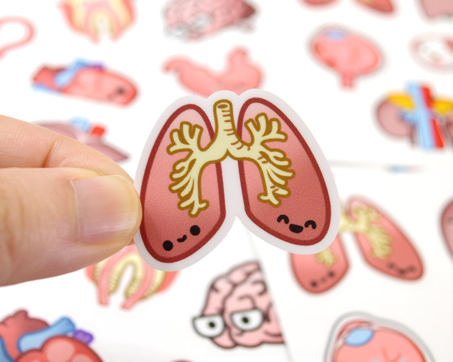 Anatomy Sticker Sheet