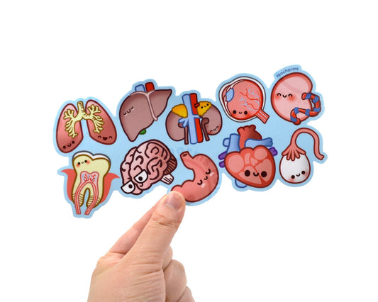 Anatomy Bumper Sticker