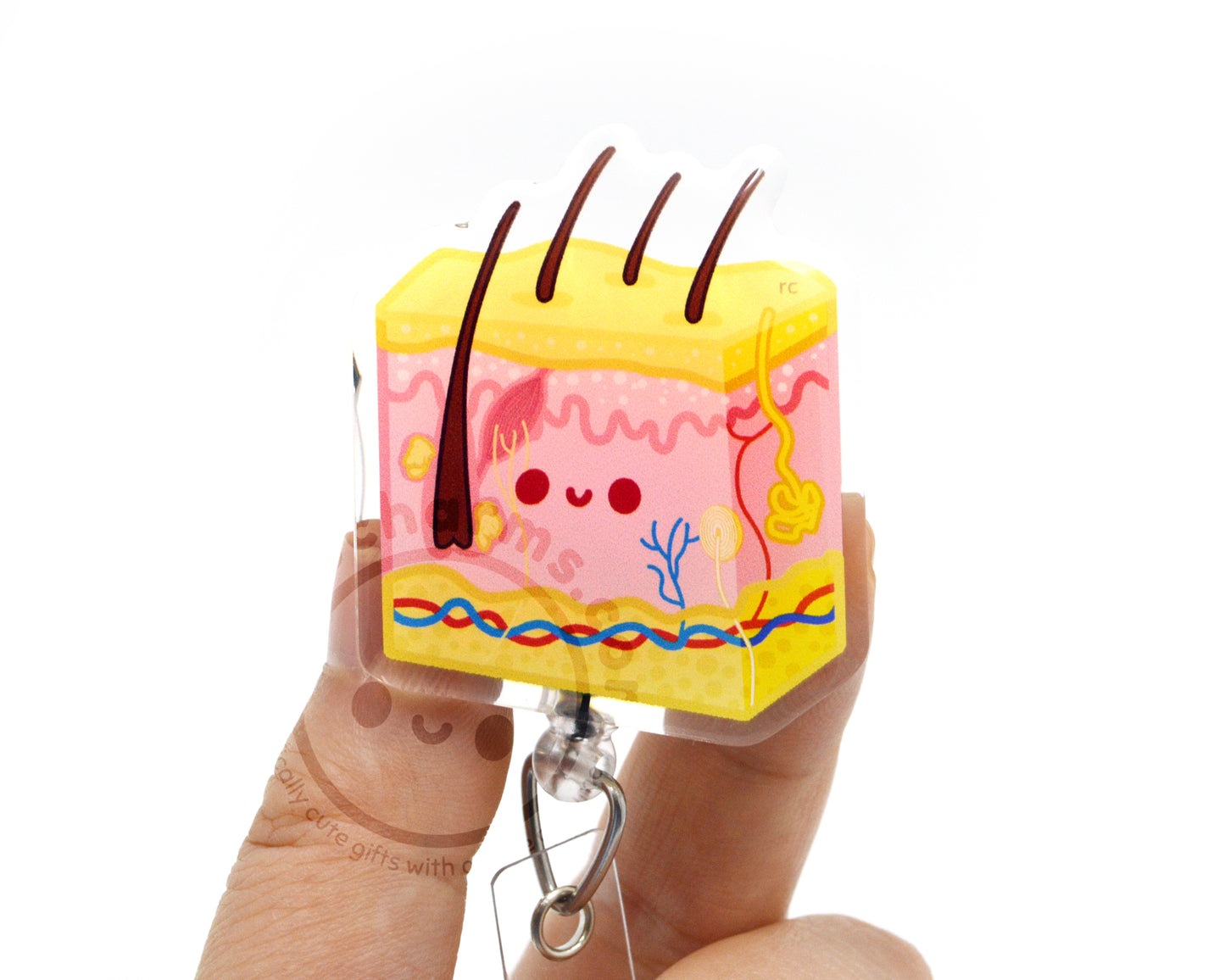 Skin Cross Section Acrylic Badge Reel