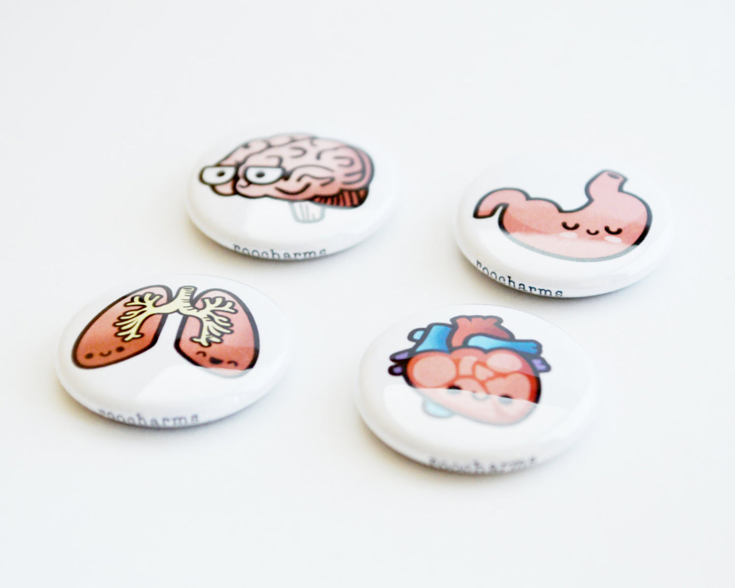 Magnet Set, Button Set, Heart, Brain, Lung, Stomach, Biology Gift, Anatomy Gift, Medical Student Gift - roocharms