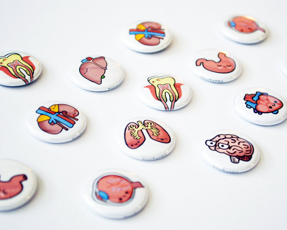 Magnet Set, Button Set, Eye, Tooth, Liver, Kidney, Biology Gift, Anatomy Gift, Medical Student Gift - roocharms