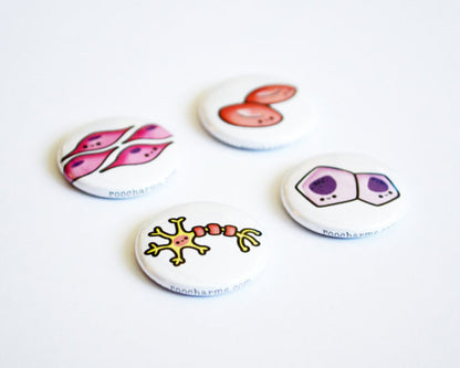 Magnet Set, Button Set, Histology, Biology Gift, Cell Biology, Science Gift - roocharms