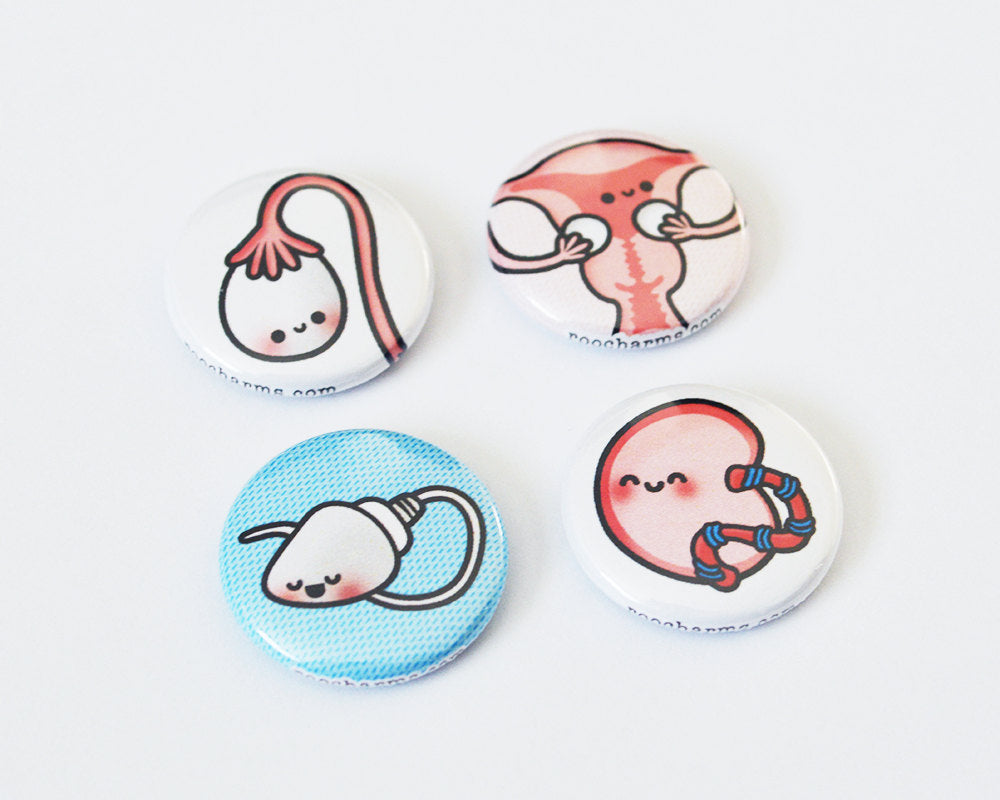 Magnet Set, Button Set, Placenta, Ovary, Uterus, Sperm, Doula Gift, OBGYN Gift, Nurse Gift, Doctor Gift - roocharms