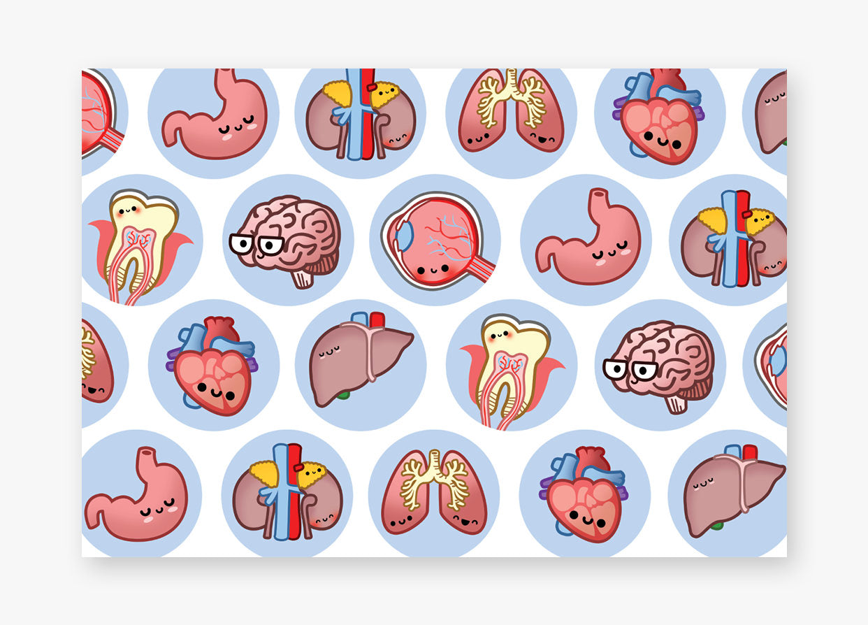 Anatomy Stationery, Biology Gift, Anatomy Gift, Heart, Lung, Brain, Kidney, Tooth, Eye, Stomach, Liver - roocharms