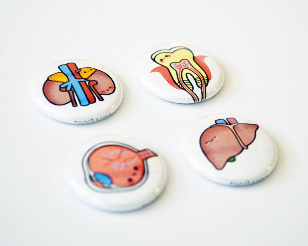 Magnet Set, Button Set, Eye, Tooth, Liver, Kidney, Biology Gift, Anatomy Gift, Medical Student Gift - roocharms