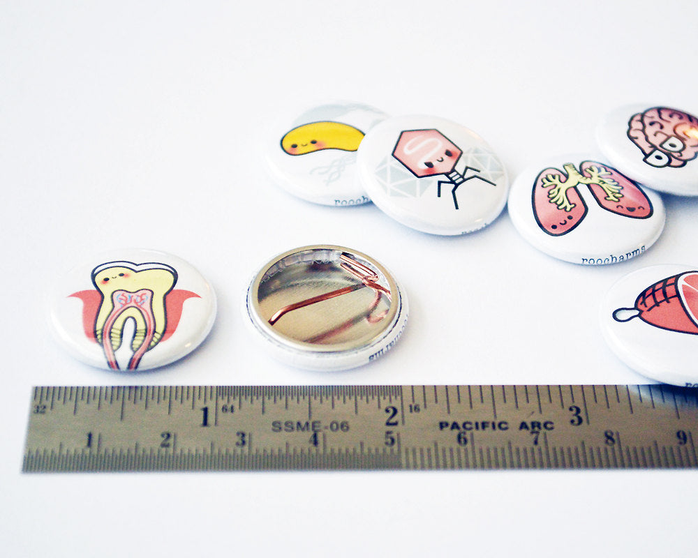 Magnet Set, Button Set, Heart, Brain, Lung, Stomach, Biology Gift, Anatomy Gift, Medical Student Gift - roocharms