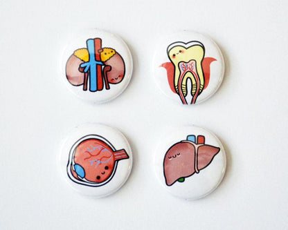 Magnet Set, Button Set, Eye, Tooth, Liver, Kidney, Biology Gift, Anatomy Gift, Medical Student Gift - roocharms