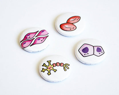 Magnet Set, Button Set, Histology, Biology Gift, Cell Biology, Science Gift - roocharms