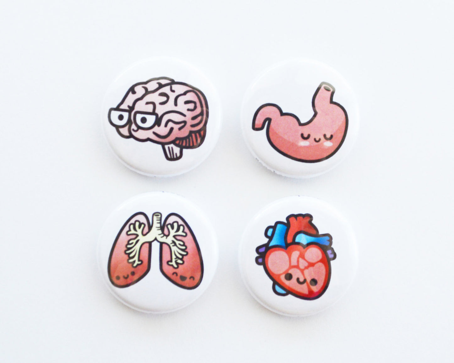 Magnet Set, Button Set, Heart, Brain, Lung, Stomach, Biology Gift, Anatomy Gift, Medical Student Gift - roocharms